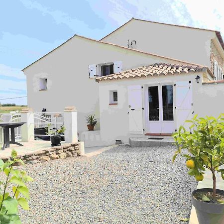 Gites A Moussan ,Domaine De La Barque A 5 Mins De Narbonne Ngoại thất bức ảnh
