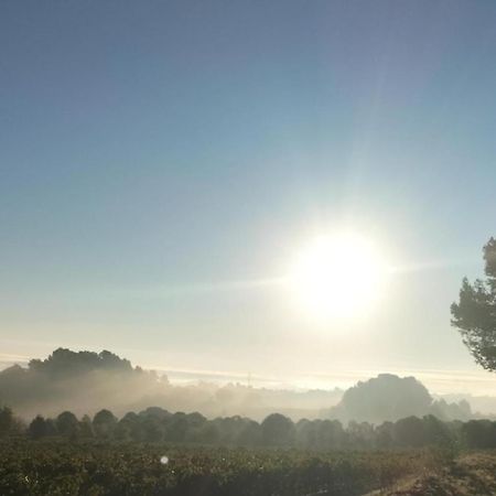 Gites A Moussan ,Domaine De La Barque A 5 Mins De Narbonne Ngoại thất bức ảnh