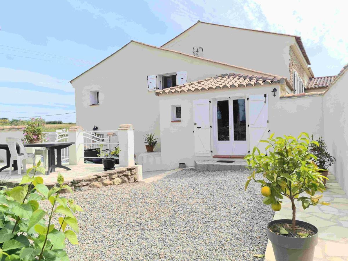 Gites A Moussan ,Domaine De La Barque A 5 Mins De Narbonne Ngoại thất bức ảnh