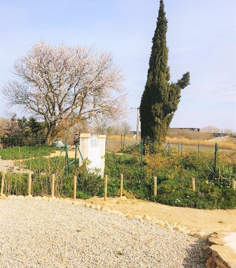 Gites A Moussan ,Domaine De La Barque A 5 Mins De Narbonne Ngoại thất bức ảnh