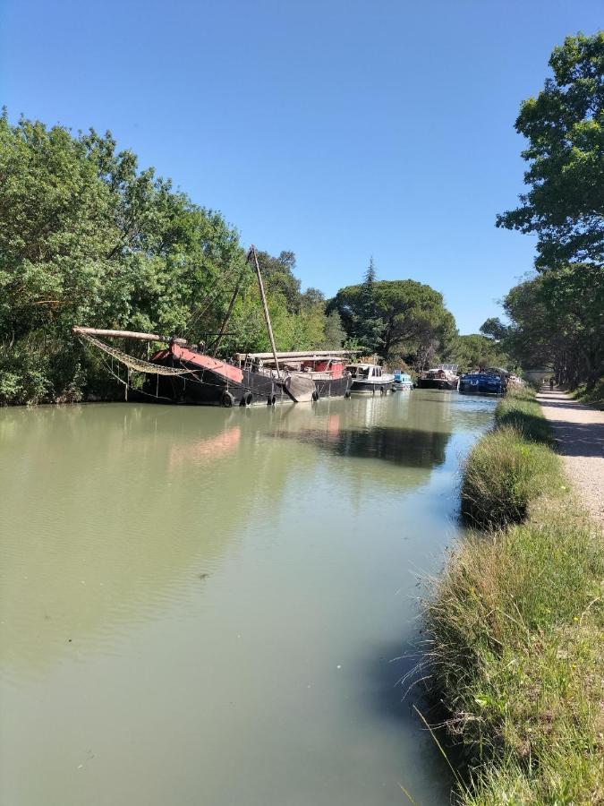Gites A Moussan ,Domaine De La Barque A 5 Mins De Narbonne Ngoại thất bức ảnh