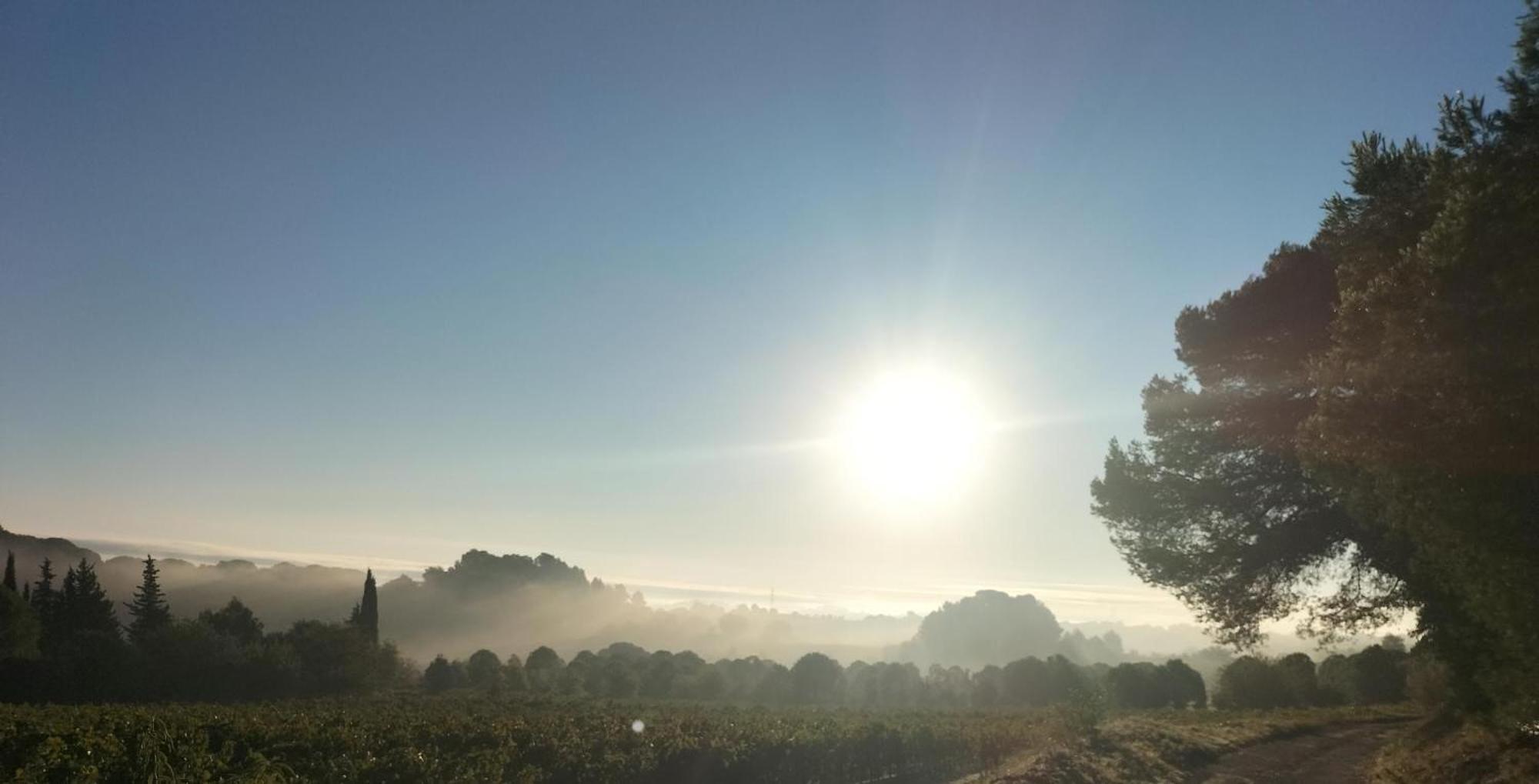 Gites A Moussan ,Domaine De La Barque A 5 Mins De Narbonne Ngoại thất bức ảnh